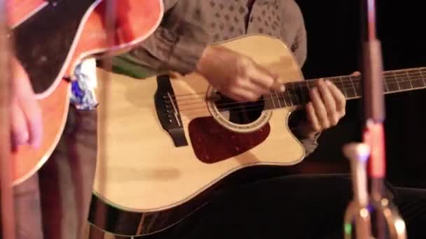 Close Man Plays Acoustic Guitar Concert Illuminated Multi Colored Lights — Stock Video