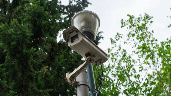 Bir CCTV kamerası sokak lambası direğine asılmış yeşil ağaç dalları, güvenlik ve gözetim arkaplanlarına..