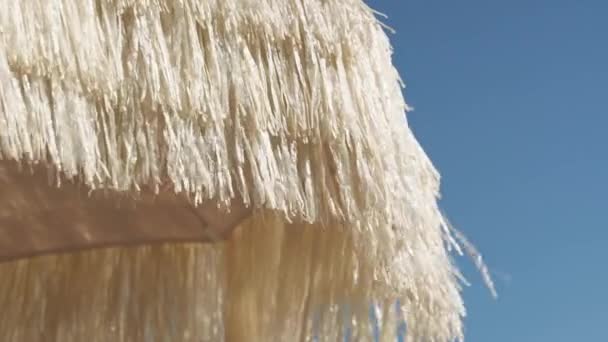 Paraguas Playa Hecho Paja Suave Desarrolla Viento Débil Una Playa — Vídeos de Stock