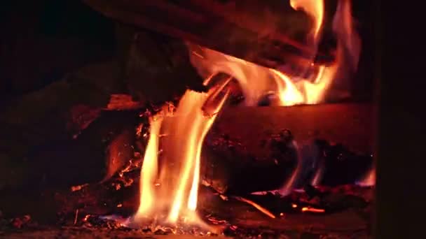 調理のためのストーブの中で火のクローズアップ 冬に家を暖めるための薪ストーブ 風呂用の金属製ストーブの火 — ストック動画