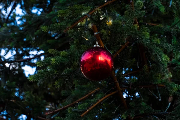 Yeni yıl için süslenmiş bir Noel ağacına asılı kırmızı Noel topları. Kırmızı renkli Noel topları yeşil bir Noel ağacında asılı. Tatil için kozalaklı ağaç süslemesi..