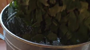 Banyo süpürgesini metal bir leğene sokmaya yakın çekim. Banyo ardıcı süpürgesi. Banyo işlemleri için hazırlıklar.