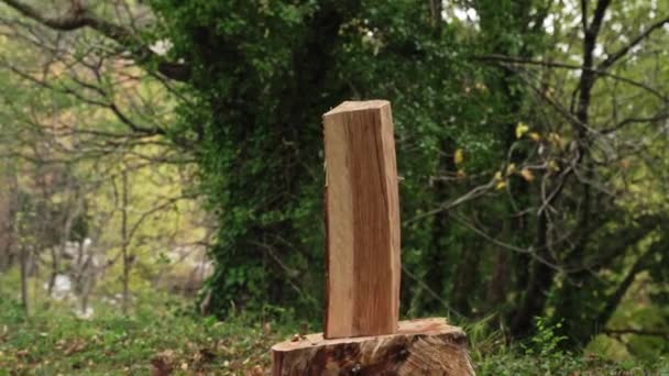 Yeşil Bir Ormanın Arka Planında Odun Kesen Torus Banyosu Yapan — Stok video