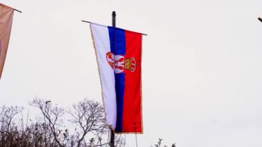 Rüzgarda dalgalanan Sırp bayrağının yakın çekimi. Bulutlu havada gri gökyüzü arka planında Sırp sembolü.