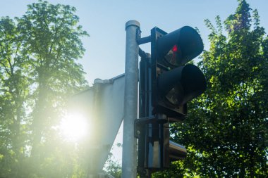 Yeşil ağaçların arka planında dur işareti gösteren bir trafik ışığının yakın çekimi. Yüksek kalite fotoğraf