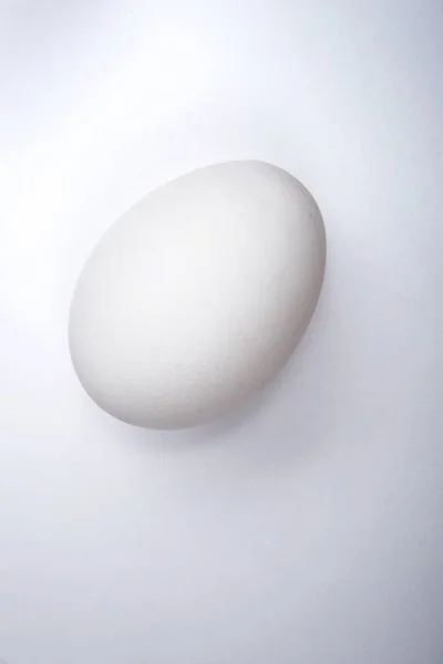 理想形状的一个白色鸡蛋位于绝对的白纸横幅作为背景与复制空间 工作室高质量的横向摄影 — 图库照片