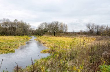 Doğal rezervin nefes kesici sonbahar manzarası ve bulutlu açık gri gökyüzündeki nehrin aynası meditasyon, rahatlama, yoga ve zen için harika bir yerdir..