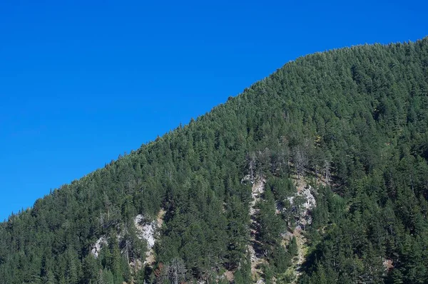 晴れた日と青い空に森に覆われた山のパスのビュー 山脈と明るい青空 — ストック写真
