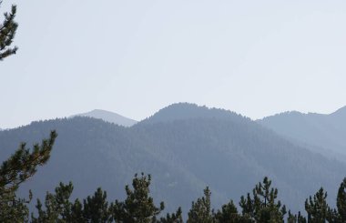 Panorama of the majestic mountains in the morning haze framed by Christmas tree branches. Light haze on a sunny summer day.