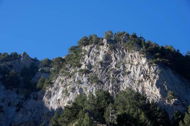 Güneşli bir öğleden sonra ve derin mavi bir gökyüzünde güzel, görkemli bir dağ manzarası. Orman dağlarda yetişir..