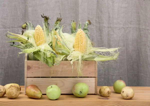 A wooden box made of rough unfinished wood full of fresh young corn with green leaves and juicy autumn pears and green apples brought from the field. Studio photo.