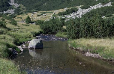 Orman manzarasında güzel bir dağ nehri sakince kıvrılır. Büyük kayaların arasında temiz su akıyor..