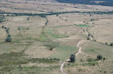 Güneşli bir yaz gününde yeşil tarlaların ve kır yollarının panoramik fotoğrafı. Kara manzarasının havadan görünüşü.