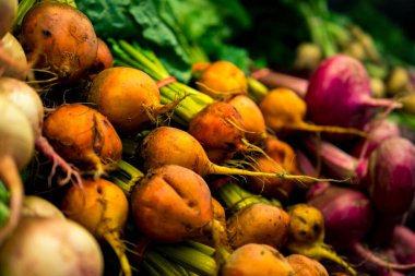 Farklı pancar ve turp çeşitlerine yakın çekim