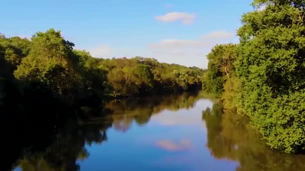 Drohne Fliegt Entlang Der Flussbiegung — Stockvideo