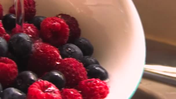 在碗里洗覆盆子和蓝莓 — 图库视频影像