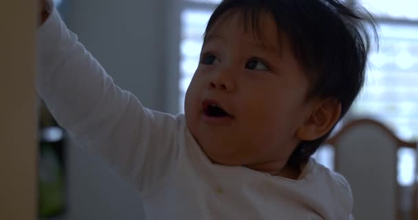 Sevimli Çocuk Işıkları Açıp Kapayarak Bir Işık Düğmesiyle Oynuyor — Stok video