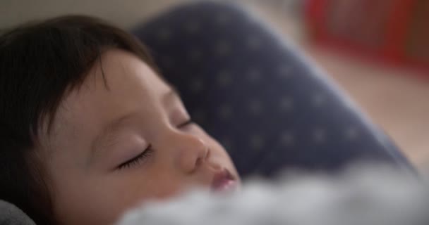 Niño Con Pelo Oscuro Durmiendo Tranquilamente Asiento Bebé — Vídeos de Stock
