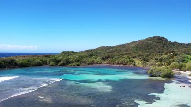 Drone Vista Aerea Una Spiaggia Vuota Roatan Honduras — Video Stock