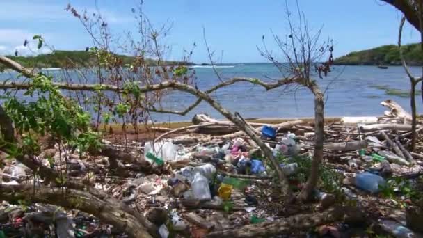 Plastový Odpad Mytí Pláži — Stock video