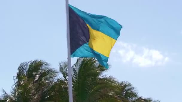 Σημαία Της Τις Μπαχάμες Κουνώντας Στον Αέρα — Αρχείο Βίντεο