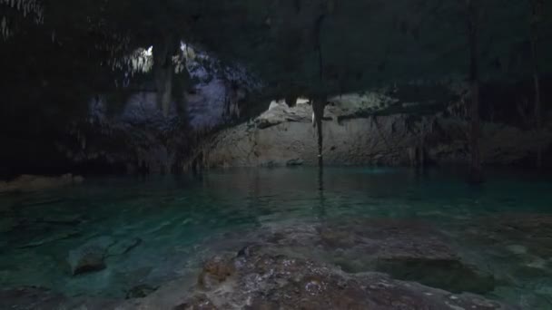 Cenote Taak Tulum Meksyk — Wideo stockowe