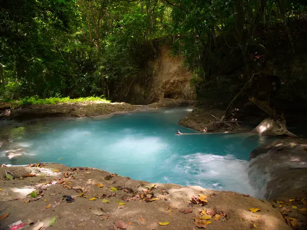 blue hole natural swimming hole in ocho rios jamaica