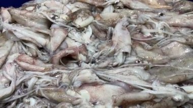 Paskalya kalamarları deniz ürünleri pazarında satılıyor.