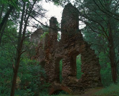 harrisville paper mill ruins inside wharton state forest in the pine barrens of south jersey clipart