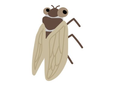 Cute cicada. Simple and flat design. Cute creatures that children love. Handwritten rough taste