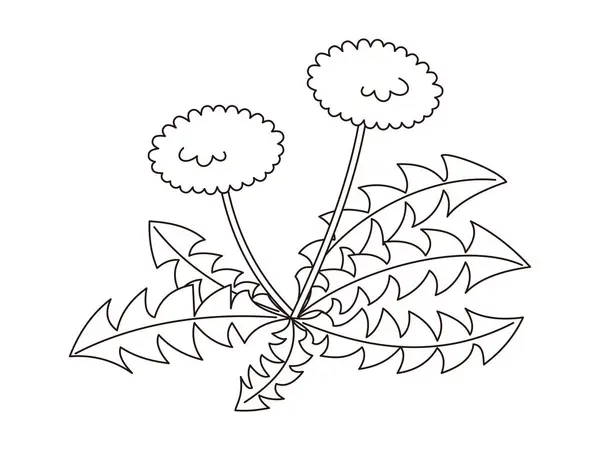 Roztomilá Kresba Čáry Pampelišky Ilustrace Pro Omalovánky Pro Děti — Stockový vektor