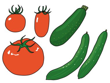 Summer vegetable illustration set of tomatoes, zucchini and cucumbers. With outline. clipart