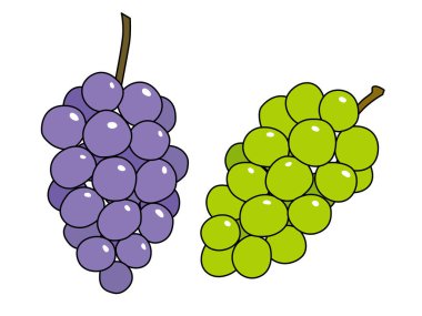 Mor ve yeşil üzümlerin resmi. Ana hatlarıyla.