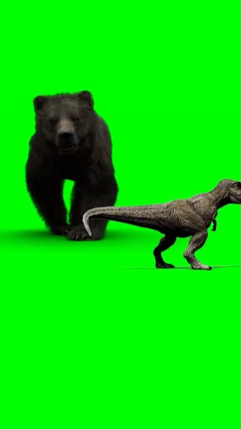 Oso Dinosaurio Pantalla Verde — Vídeos de Stock