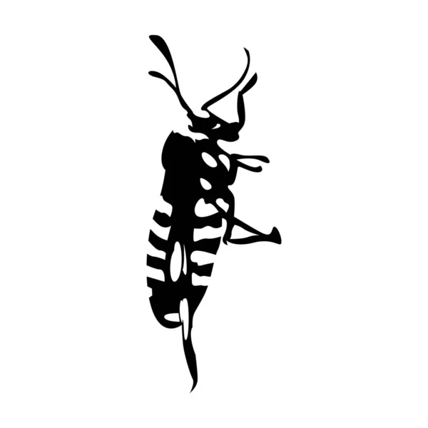 Bitki Böceklerinin Siluet Tasarımı Sanat Çizgi Çizgi Çizgi Çizgi Çizgi — Stok Vektör