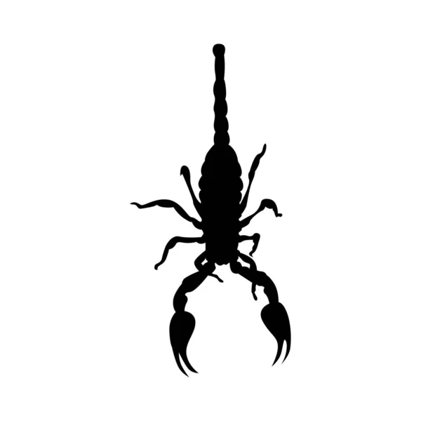Silueta Design Černým Škorpión Pole Karikatura Minimalistický Vektor Ilustrace Chladnými — Stockový vektor