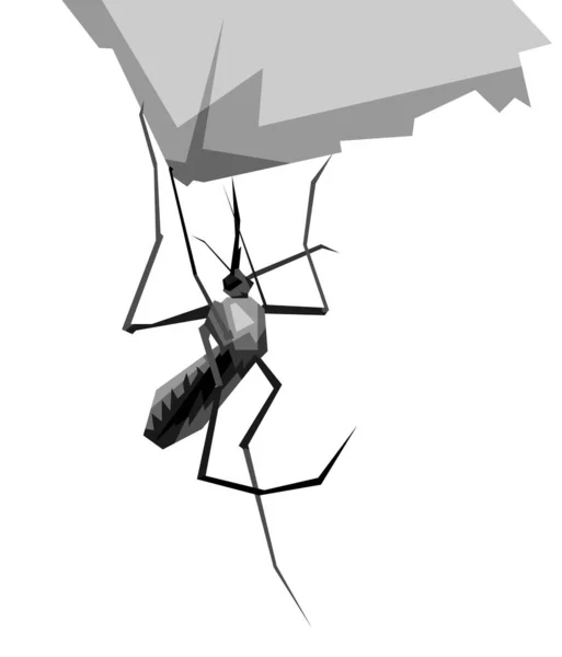 Siyah Beyaz Sivrisinek Wpap Pop Sanat Vektör Biçiminin Çizimi — Stok Vektör