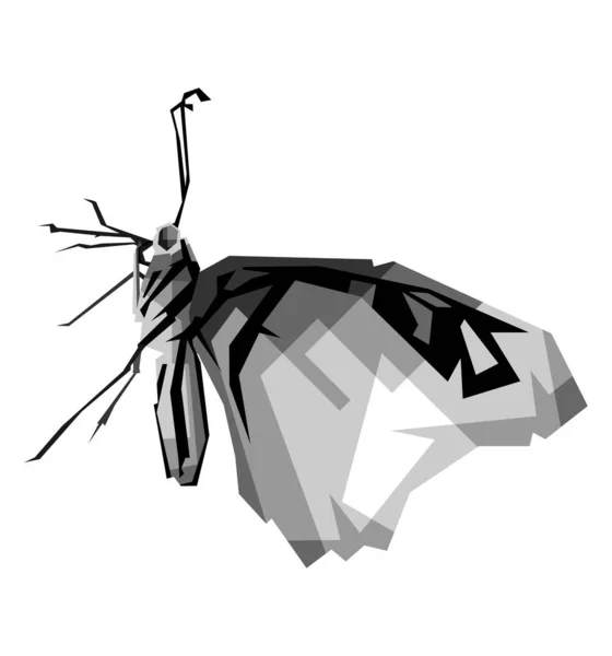 一个孤立的黑白蝶泳流行艺术矢量风格的设计说明 — 图库矢量图片