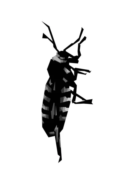 Design Illustration Växt Skadedjur Insekter Med Isolerade Svart Och Vit — Stock vektor