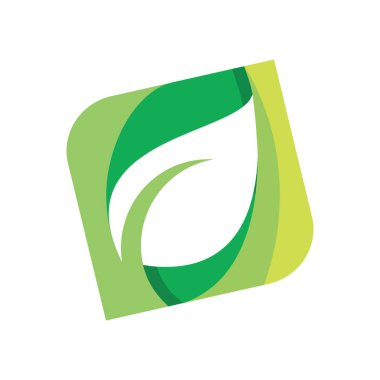 Bitki yaprağı logo tasarımı vektör çizimi beyaz arkaplan