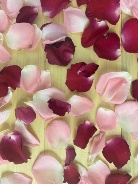 Ahşap arka planda renkli gül yapraklarından yapılmış yaratıcı bir düzen. Seni seviyorum..