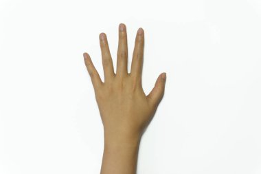 Beyaz arkaplanda 5 numaralı el işareti izole edildi..