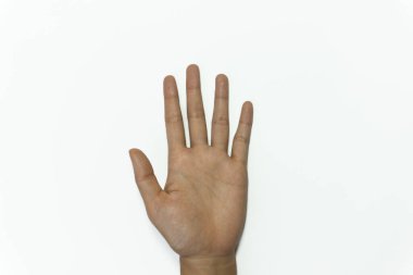 Beyaz arkaplanda 5 numaralı el işareti izole edildi..