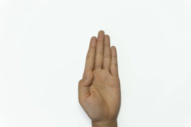 Beyaz arka planda izole edilmiş işaret dilinin 