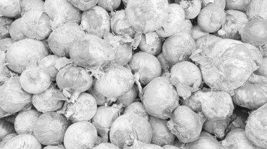 Piyasada taze meyveler