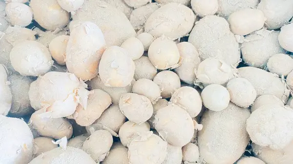 close up of a pile of white snow