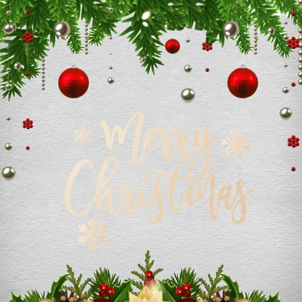 Köknar dalları ve karlı Noel arkaplanı