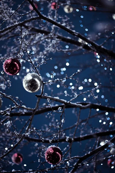 Penceresinde kar olan bir Noel ağacı.