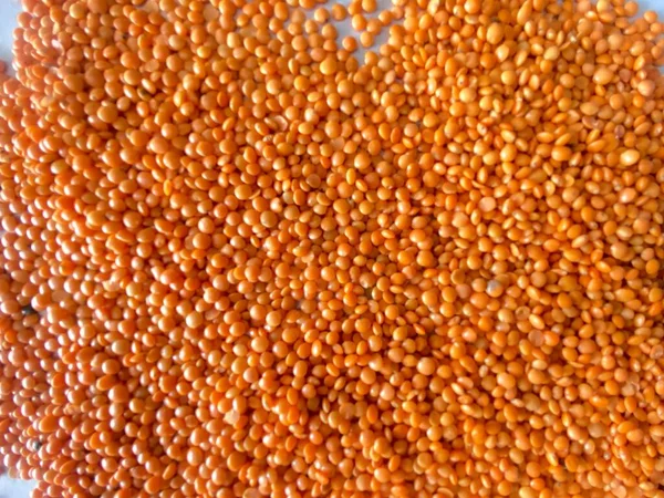Kırmızı bir mercimek yakın çekim