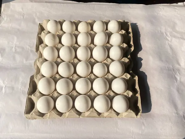 bir karton kutu içinde yumurta